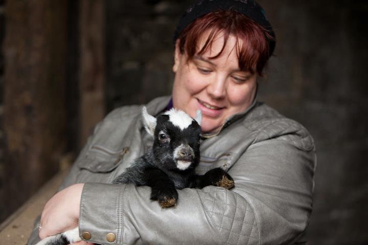 Lane Ends Pygmy Goats